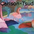 CindiaCarlsonSueCarlson-Tsuda